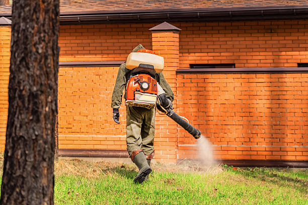 Bed Bug Clearance Verification and Documentation in Las Lomas